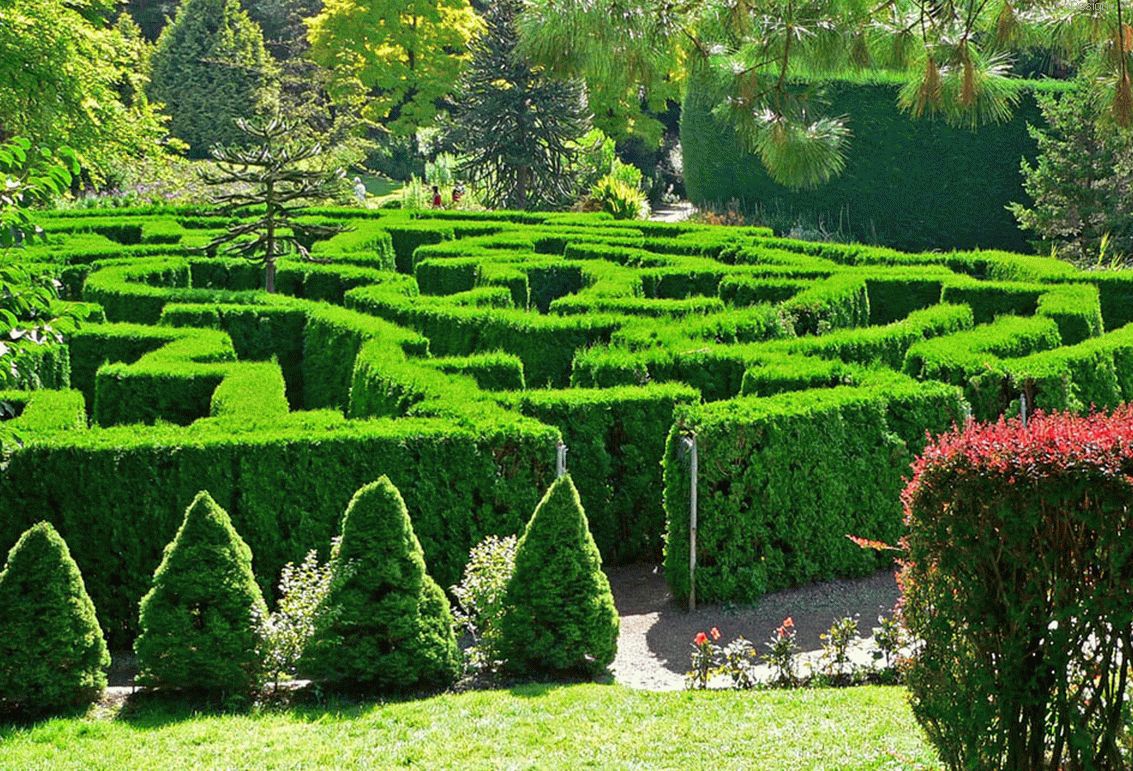 7 IDEAS INSPIRING UNTUK GARDEN